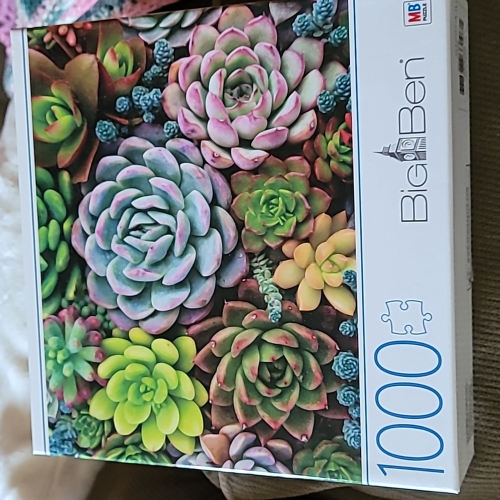 Big Ben 1000pc puzzle succulents